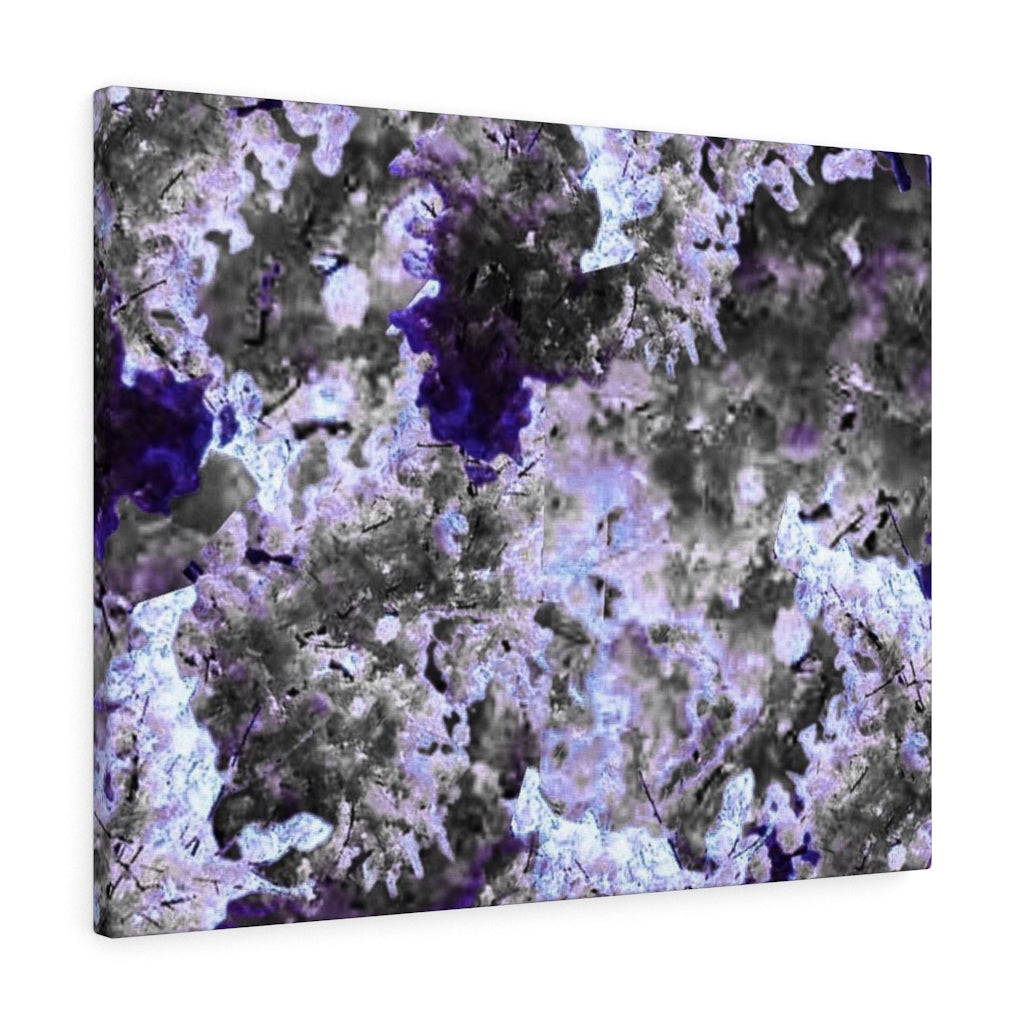 Bloom Within lV Gallery Wrapped Canvas Print