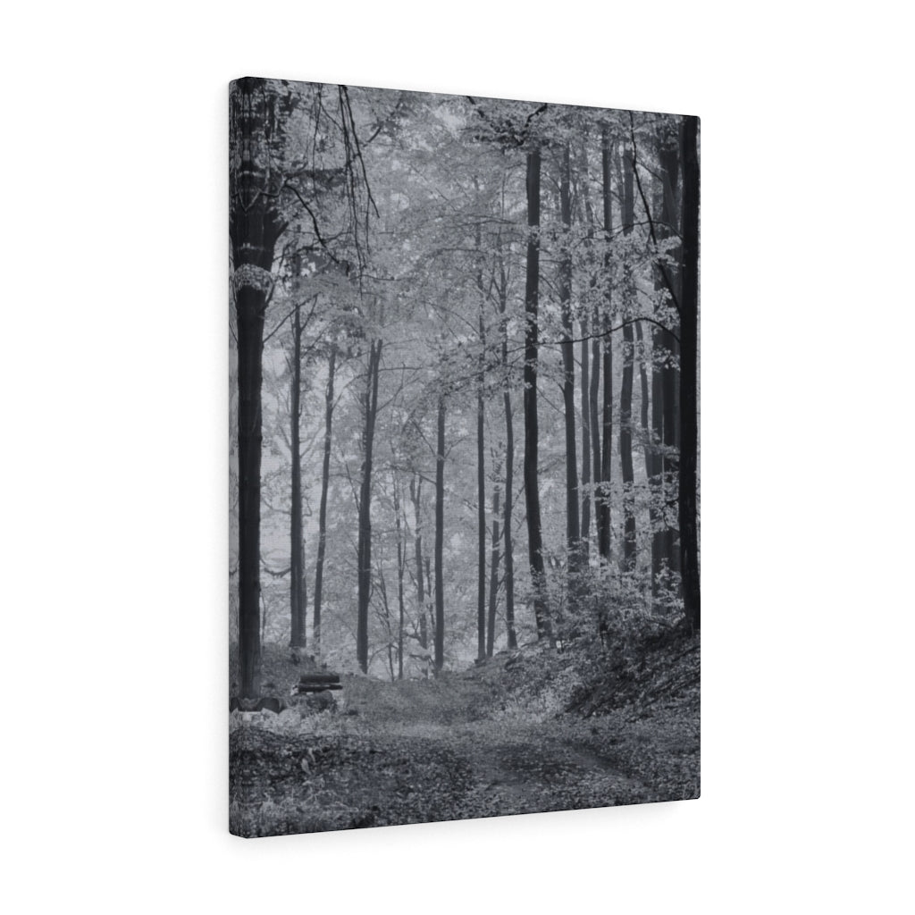 Into the Woods 18 x 24 Gallery Wrapped Canvas Print