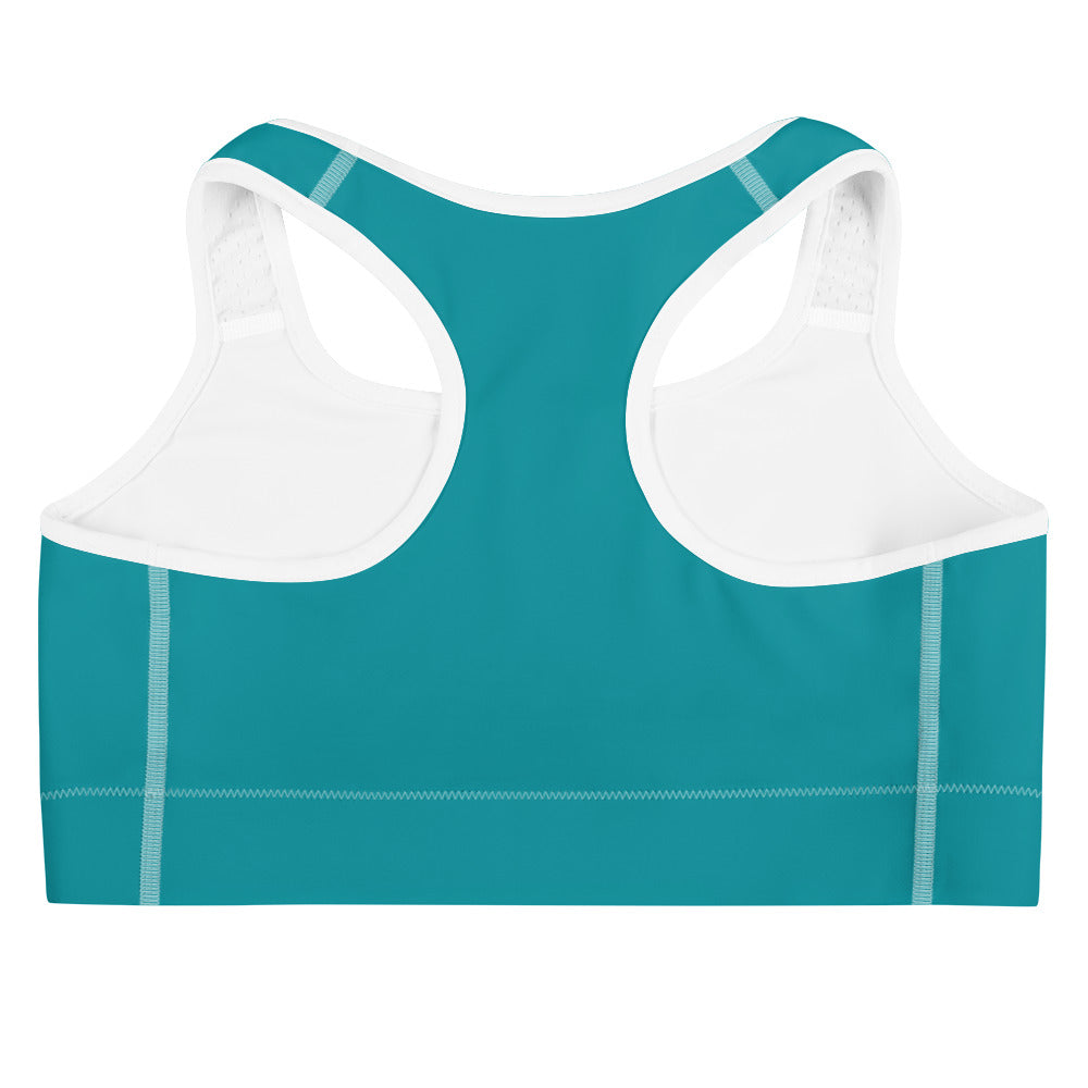 Lake Simcoe Sports bra in Eastern Blue